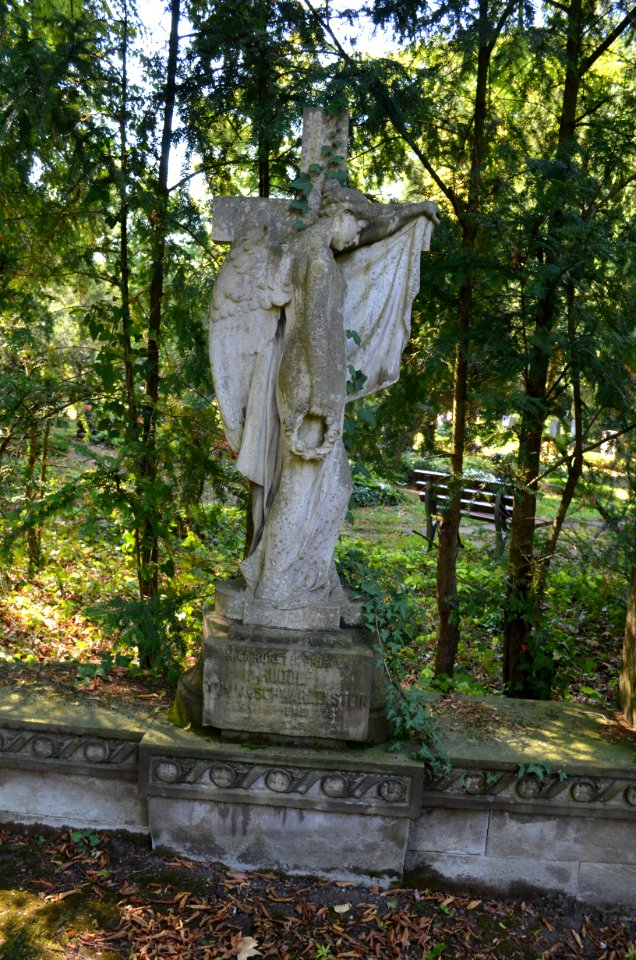 Frankfurt, Hauptfriedhof, Grab B 53-55 Mumm von Schwarzenstein, Wilhelm Johann Rudolf Mumm von Schwarzenstein