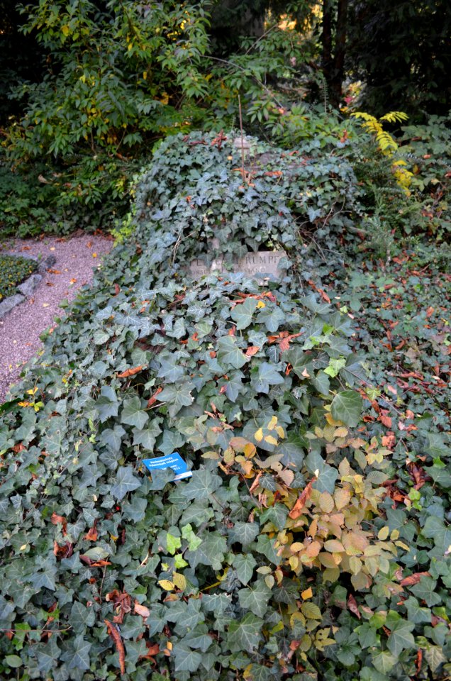 Frankfurt, Hauptfriedhof, Grab C 42 Rumpf