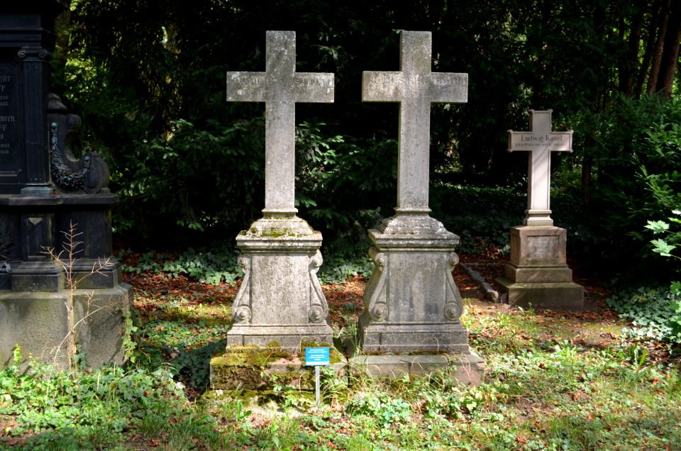 Frankfurt, Hauptfriedhof, Grab D 147a Zickwolf-Nestle (1)