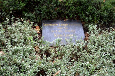Frankfurt, Hauptfriedhof, Grab D 174b-175 Lampe (4) photo