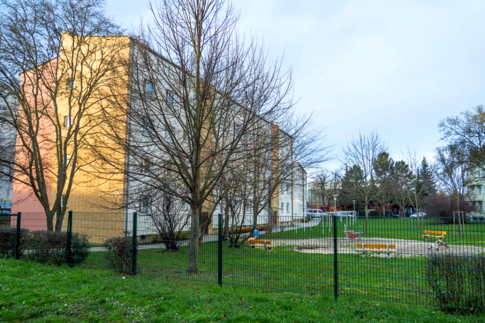 FFM-Nied Heinrich Stahl - 002