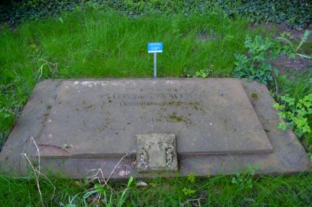 Frankfurt, Hauptfriedhof, Grab D 512 Edler von Wirth