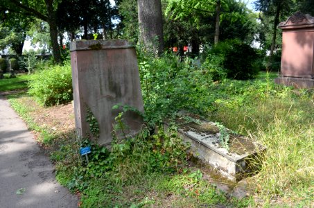 Frankfurt, Hauptfriedhof, Grab D 254 Mylius-Kohl (4)