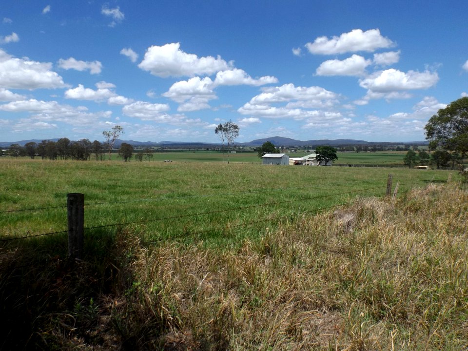 Fields along Cedar Grove Road at Cedar Grove, Queensland