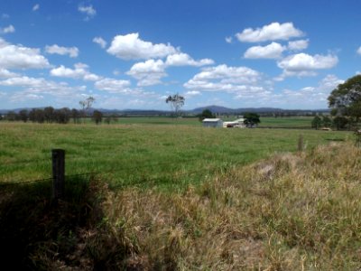 Fields along Cedar Grove Road at Cedar Grove, Queensland photo