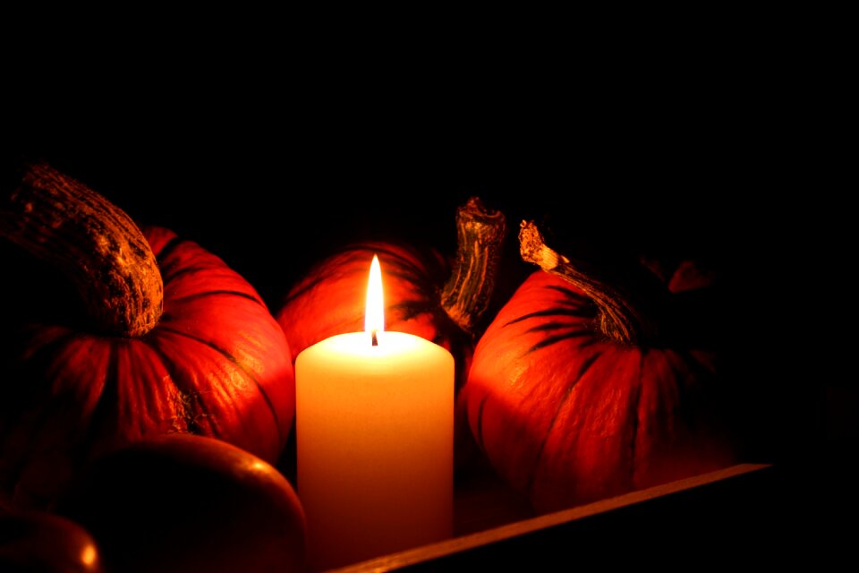 Halloween autumn light