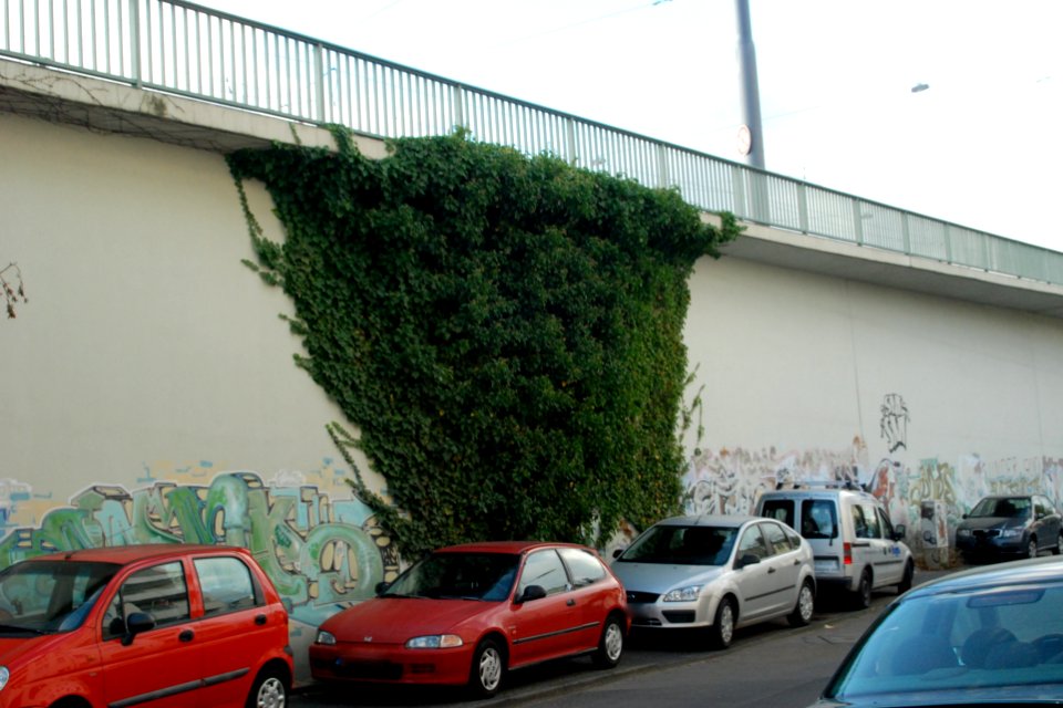 Ffm Häusergasse 99