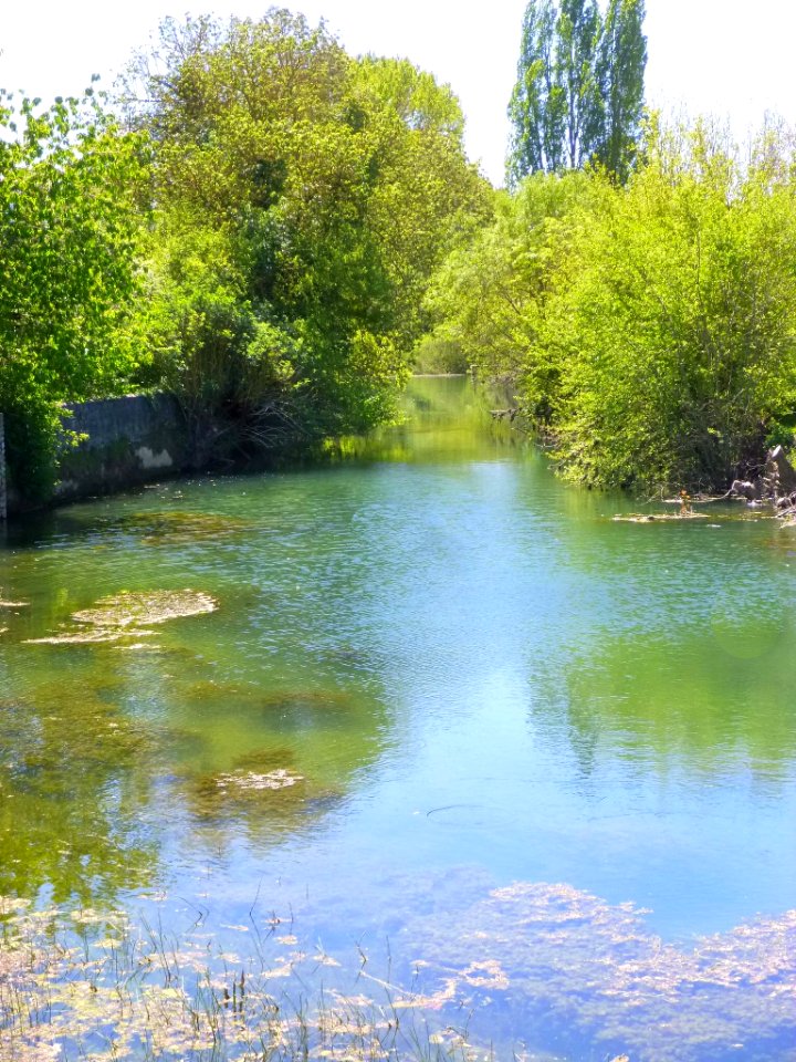 Foronda - Rio Zalla 11