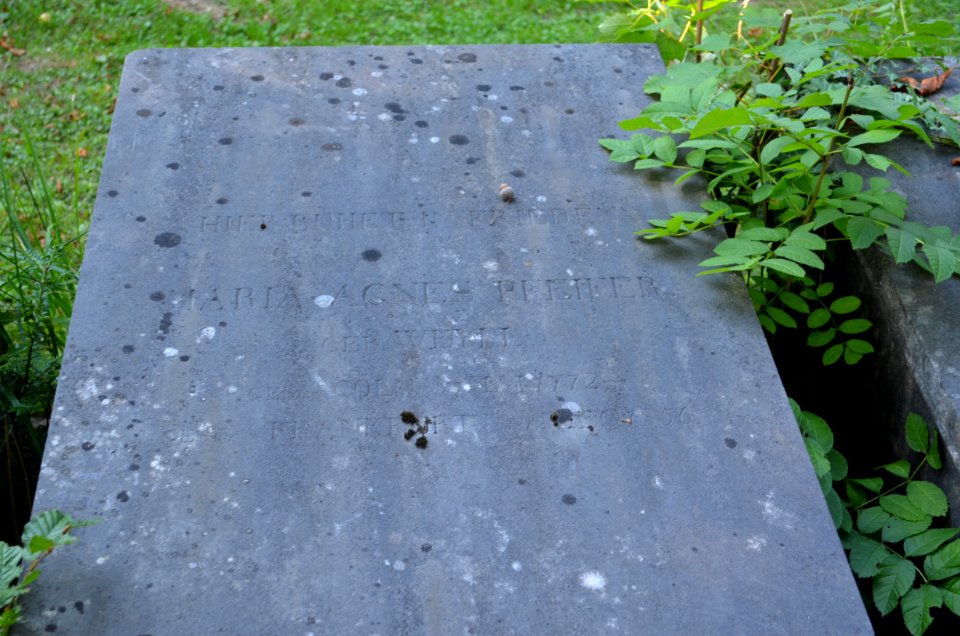 Frankfurt, Hauptfriedhof, Grab B 128 Pfeiffer (2)