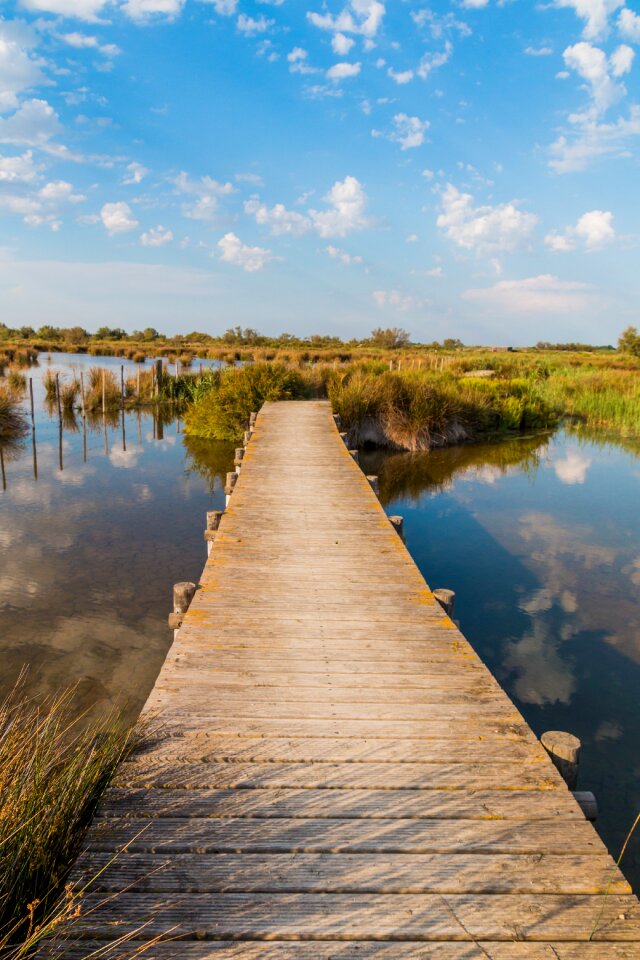 Water reed boardwalk
