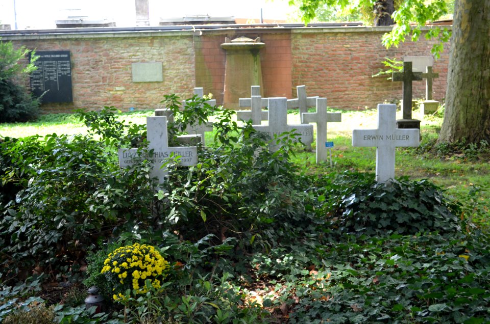 Frankfurt, Hauptfriedhof, Grab D 45 Müller-Buch (1)