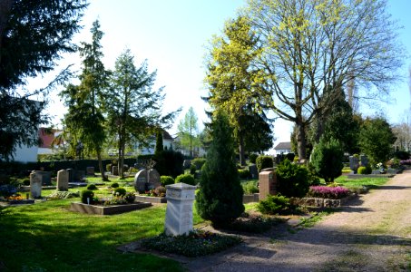 Frankfurt-Bergen, Friedhof