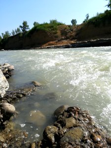 Fiume Secchia a Casalgrande 13