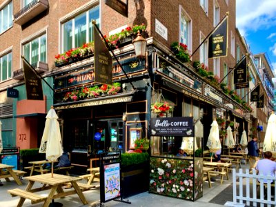Fitzrovia Belle, Fitzrovia