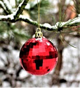 Christmas winter shiny