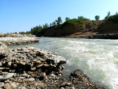 Fiume Secchia a Casalgrande 11