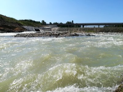 Fiume Secchia a Casalgrande 10