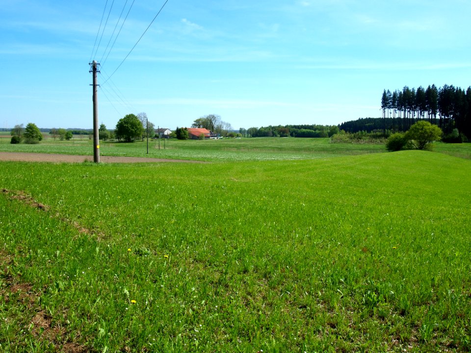 Ettringen-Felderhof 02
