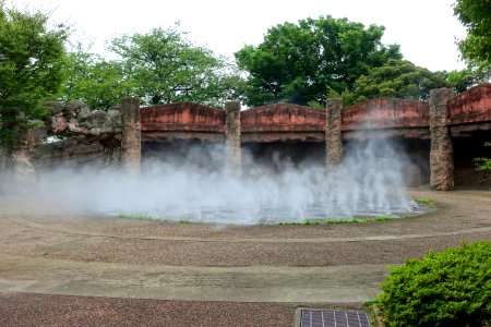 Fog at Omori Shell Mounds Garden - Omori, Tokyo, Japan - DSC05620