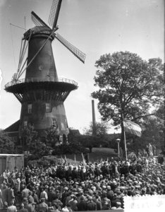 Folkloristische demonstratie Leidse Veemarkt t.g.v. studentenviering, Bestanddeelnr 907-1775