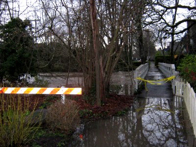 FootbridgeMillCreekCourtStJan192012