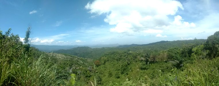 Flores island somewhere in the countryside 2
