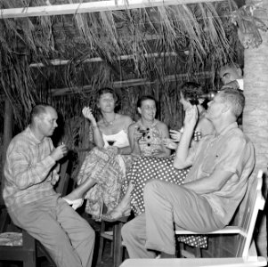 Feestend gezelschap in een hut, Bestanddeelnr 252-3084