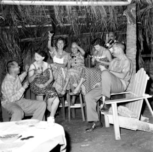 Feestend gezelschap in een hut, Bestanddeelnr 252-3082