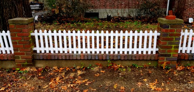 Fence - Arlington, MA - 20201127 090825