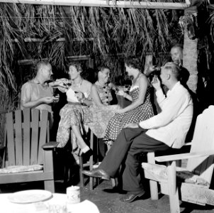 Feestend gezelschap in een hut, Bestanddeelnr 252-3083