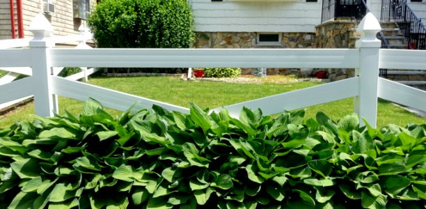 Fence - Arlington, MA - DSC02545