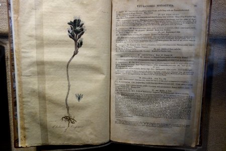 Florula Cestrica by William Darlington, 1826 - this book belonged to Samuel Peirce - Heritage Exhibit - Longwood Gardens - DSC00929
