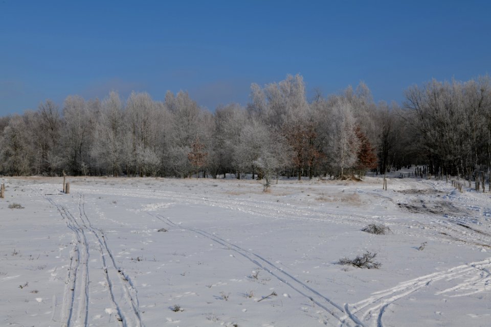 Ferbitzer Bruch with snow 2021-02-14 23