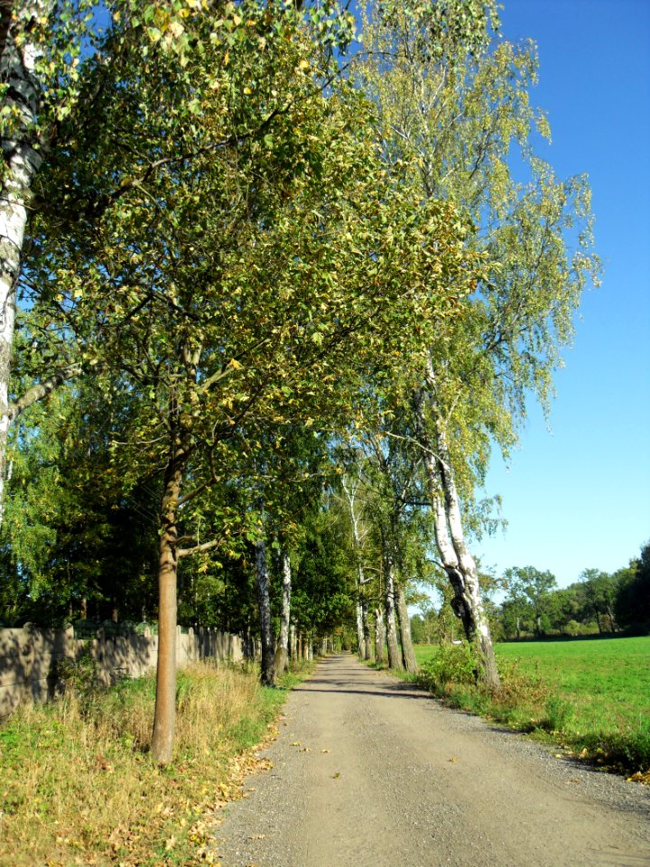 Gdańsk ulica Kościerska