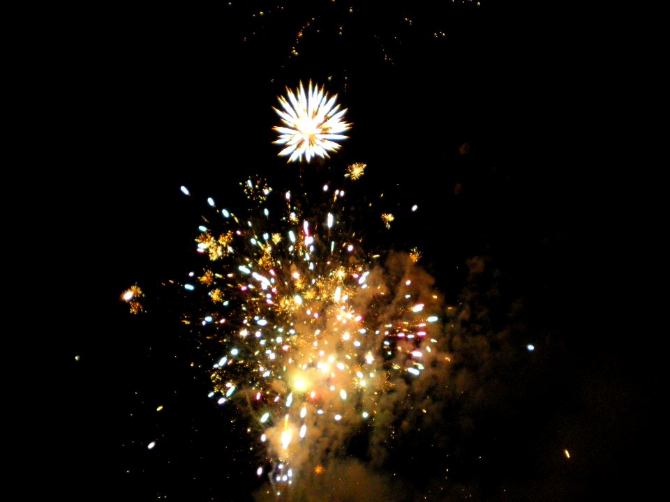 Festifolies 2011 35