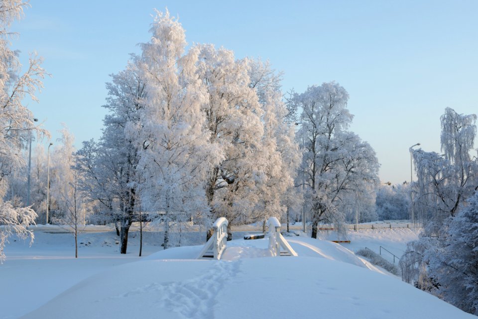 Footbridge Linnansaari 20190120 01