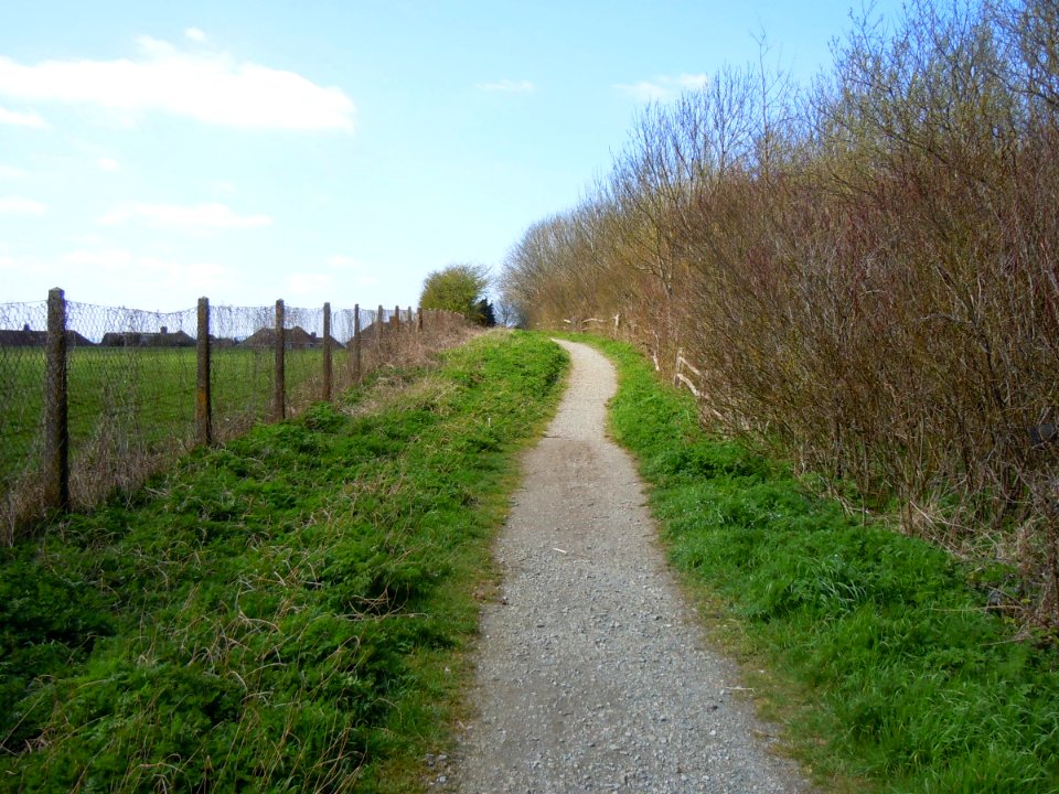 Footpath behind West Blatchington Primary School, Hangleton Way, Hangleton (April 2015)