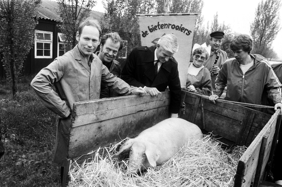 Gebroeders Hullenaar te Huissen met een varken, op de achtergrond leden van boer, Bestanddeelnr 932-5832
