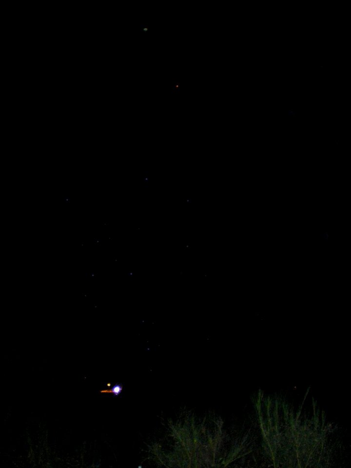 Festifolies 2011 22