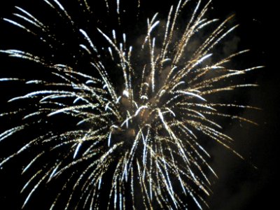 Festifolies 2012 39
