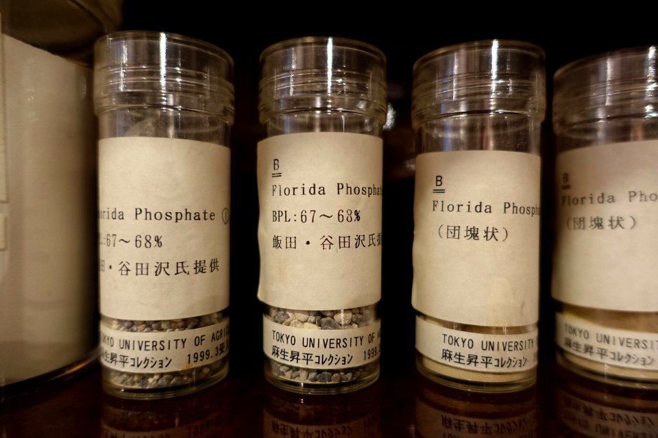 Florida phosphate samples - Food and Agriculture Museum - Setagaya, Tokyo, Japan - DSC09702