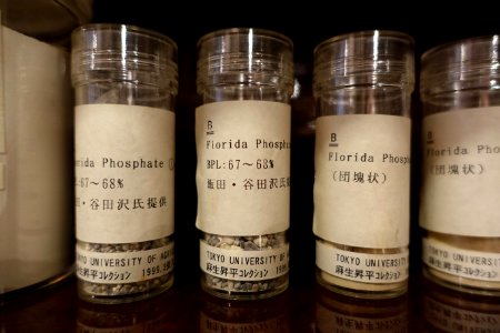 Florida phosphate samples - Food and Agriculture Museum - Setagaya, Tokyo, Japan - DSC09702