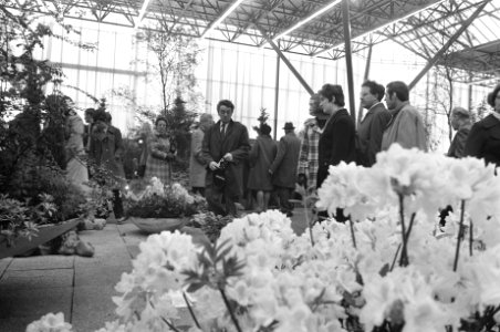 Floriade (binnen), Bestanddeelnr 925-5309