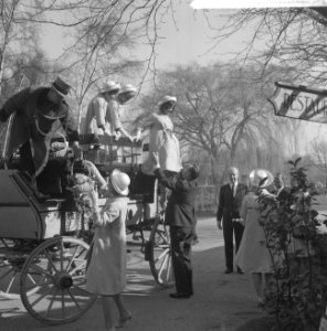 Floribunda 1965 te Rotterdam, officieel geopend, uitstappen Haarlemse bloemenmei, Bestanddeelnr 917-6018
