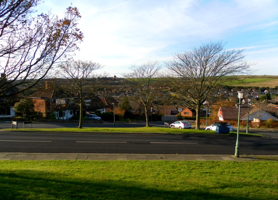 General view of Hangleton (December 2011) (1)