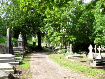 General view of Brighton Extramural Cemetery, off Lewes Road, Brighton (September 2010) (2)