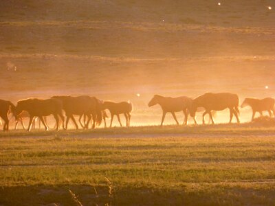 Dust landscape mood