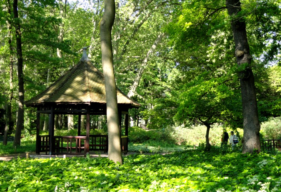 General view - Parc de la Tête d'Or - DSC05281