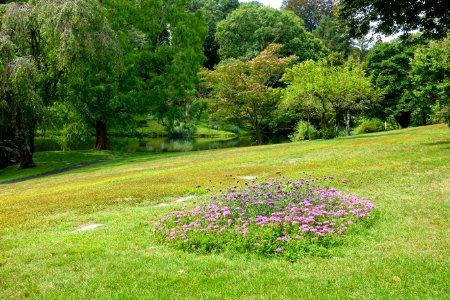 General view - Newton Cemetery & Arboretum - Newton Center, MA - DSC07105