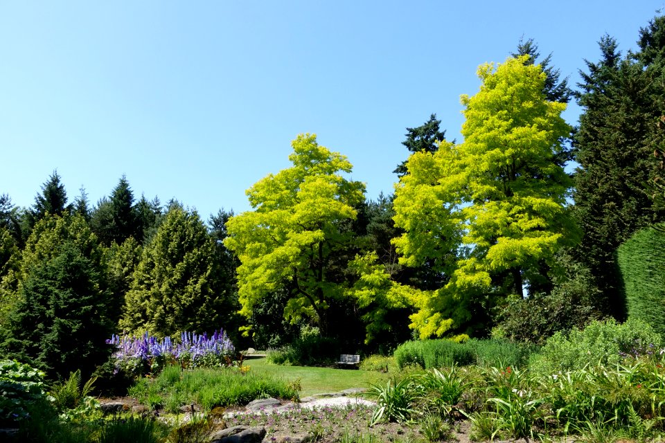General view - VanDusen Botanical Garden - Vancouver, BC - DSC07025